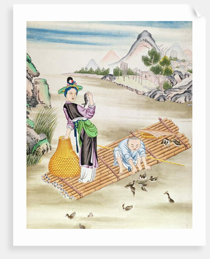 Chinese using cormorants to catch fish by School Chinese