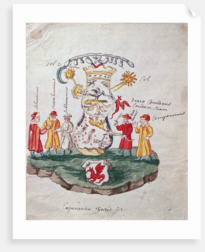 The Operations of Alchemy by French School