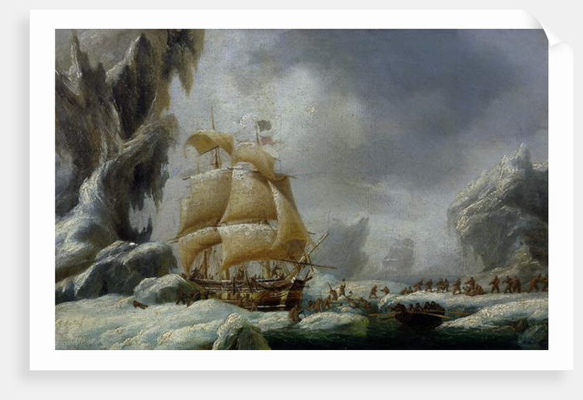 The Ship of Jules Dumont d'Urville Stuck in an Ice Floe in Antarctica by Ambroise-Louis Garneray