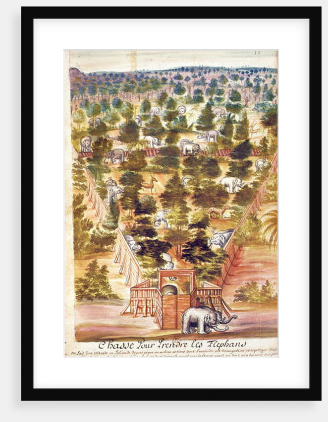 Elephant Hunt in Siam, from an account of the Jesuits in Siam, 1688 by French School