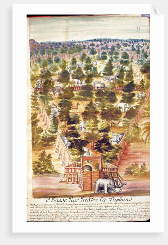 Elephant Hunt in Siam, from an account of the Jesuits in Siam, 1688 by French School