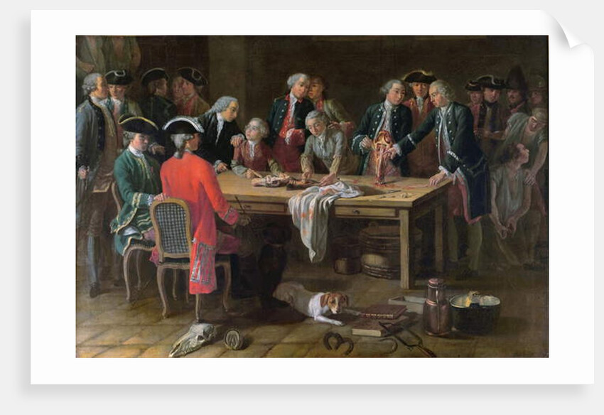 A Lesson in Hippiatric Anatomy with Philippe-Etienne Lafosse by French School