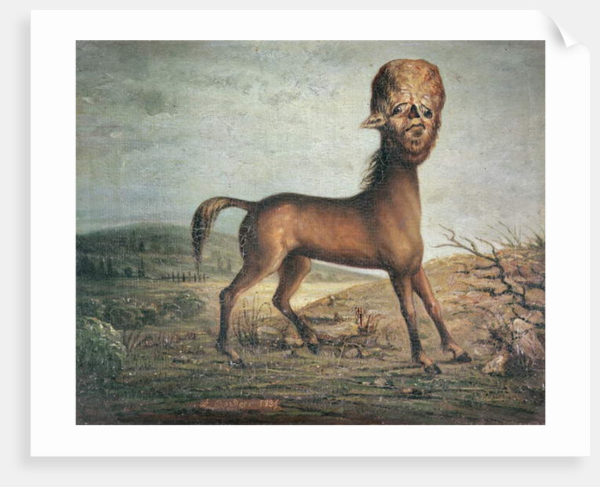 Hydrocephalic mare, born 21st January 1821, 1835 by French School
