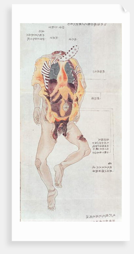 A disembowelled body from the dissection of a torture victim of 1796 by Japanese School