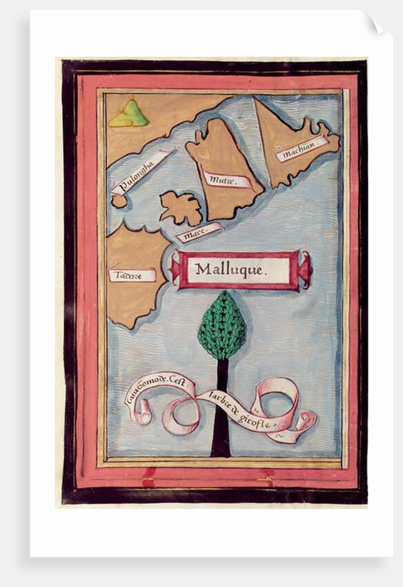 Ms 24224 Fol.73v Map of the Spice Islands from an account of the Voyage of Ferdinand Magellan by French School