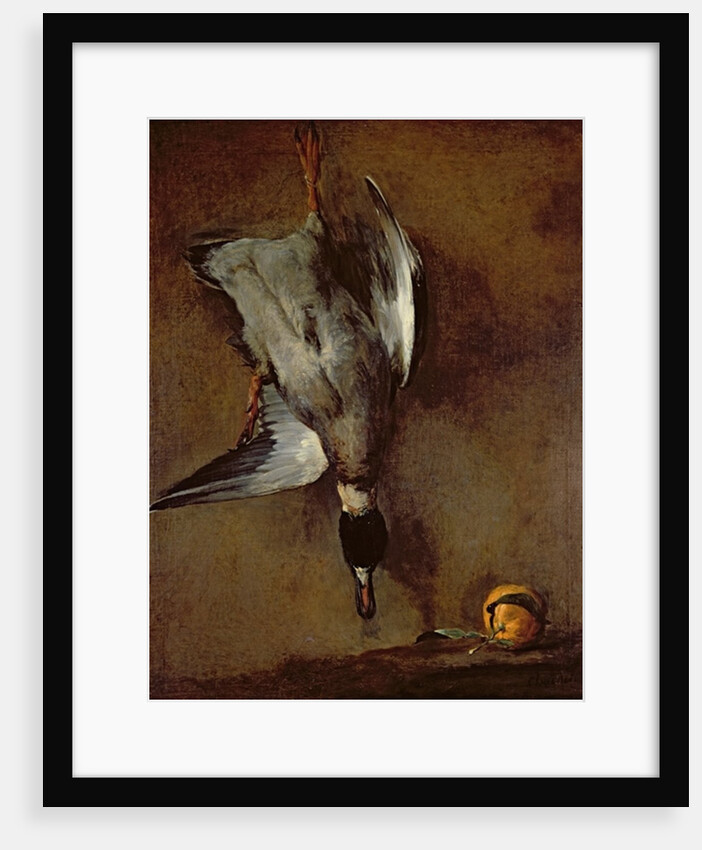 A mallard duck hanging on a wall with a Seville orange, 1720-30 by Jean-Baptiste Simeon Chardin