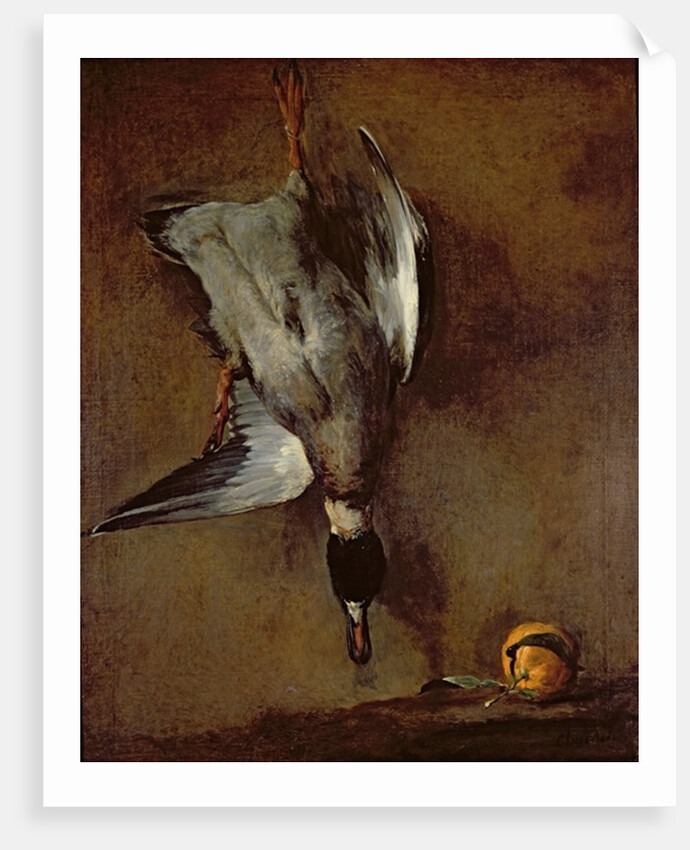 A mallard duck hanging on a wall with a Seville orange, 1720-30 by Jean-Baptiste Simeon Chardin