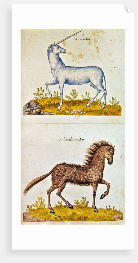 Drawings of a unicorn and a wild horse by French School