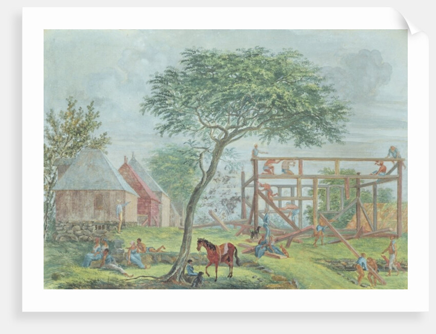 Building a house on the Ile de la Reunion, c.1810-15 by Jean-Joseph Patu de Rosemont