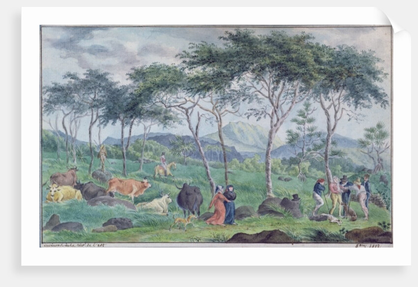 Herd of cattle with cowherds near the river on the east of the Ile de la Reunion, October 1812 by Jean-Joseph Patu de Rosemont