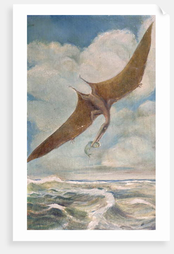 Pterodactyl fishing by French School