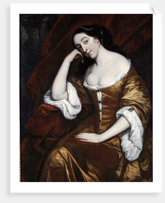 Portrait of a Lady, wearing a gold dress with red robes by Henry Anderton