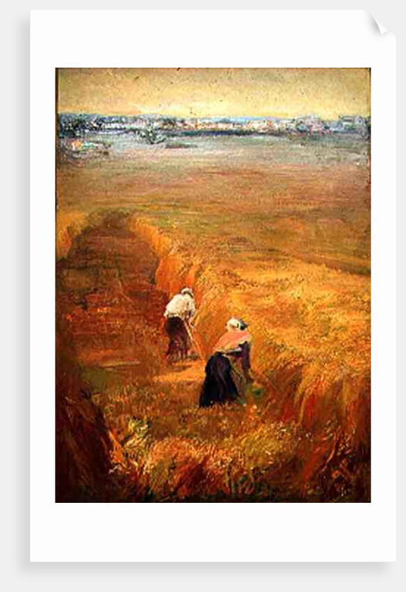 Puglia, 1966 by Antonio Ciccone