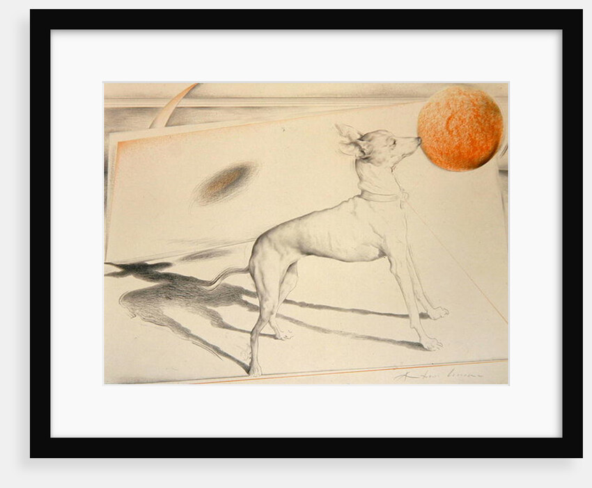 Space Dog by Antonio Ciccone