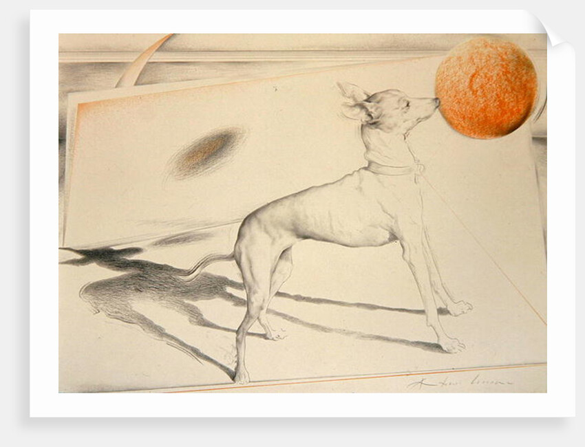 Space Dog by Antonio Ciccone