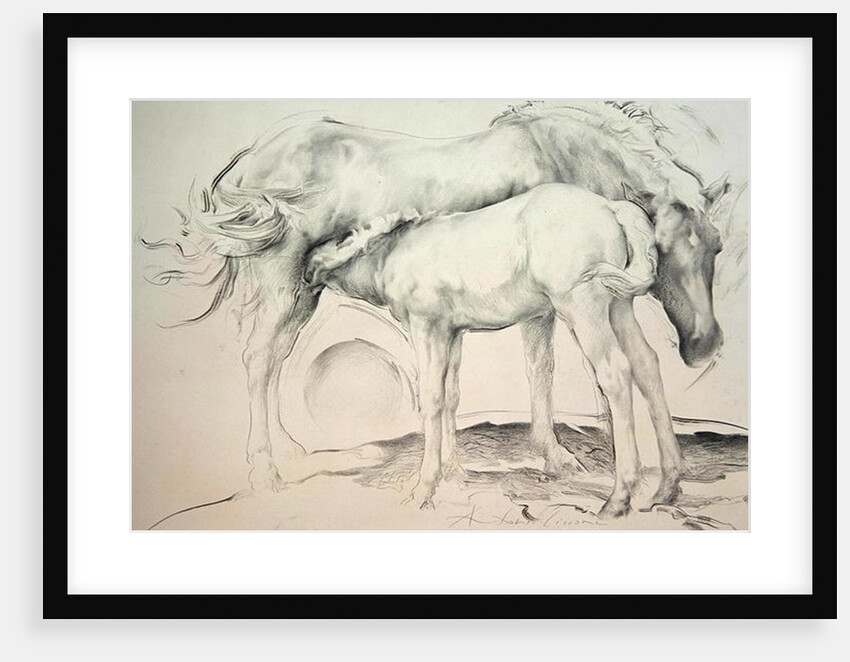 Horses at Coolmore, 1990 by Antonio Ciccone