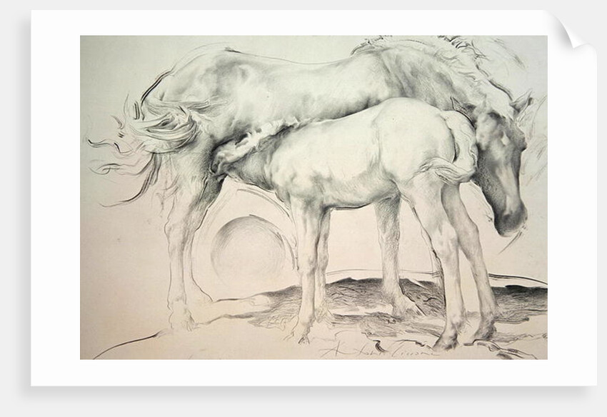 Horses at Coolmore, 1990 by Antonio Ciccone