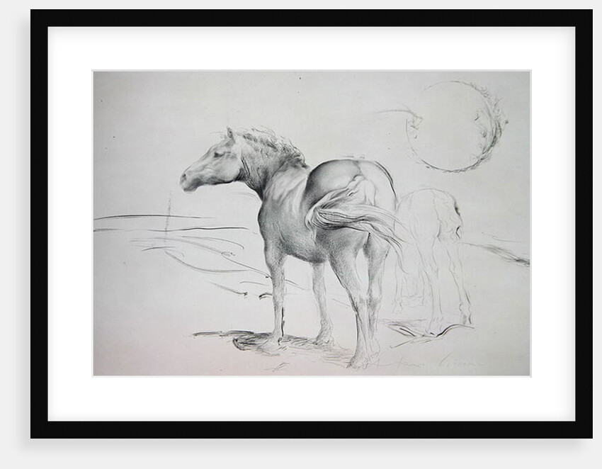 Horses at Coolmore, 1990 by Antonio Ciccone