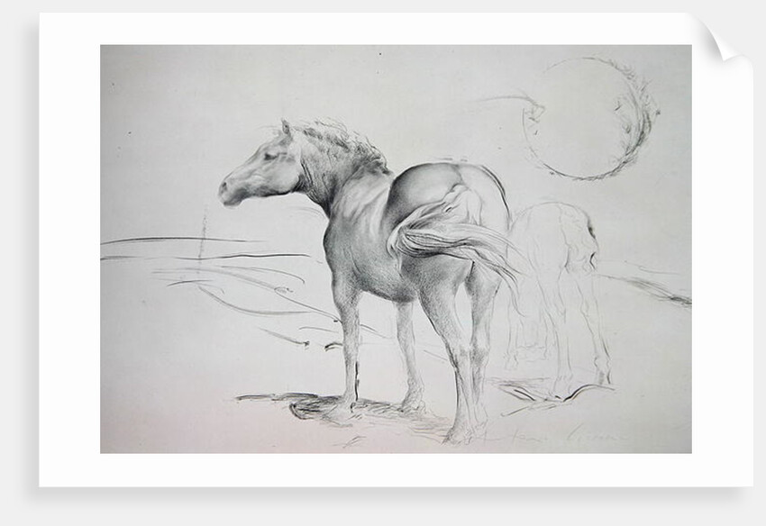 Horses at Coolmore, 1990 by Antonio Ciccone