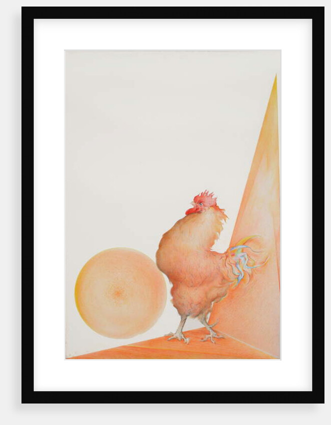 Rooster by Antonio Ciccone