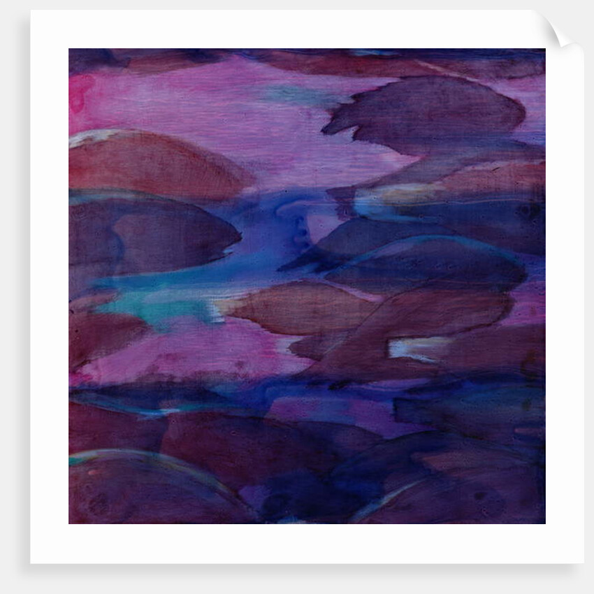 Purple Parrots VI, 2000 by Charlotte Johnstone