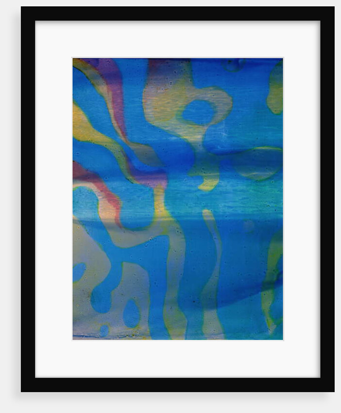 Indian Swarthy, 2000 by Charlotte Johnstone