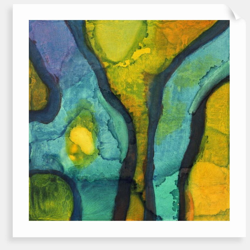 Goby, 1997 by Charlotte Johnstone