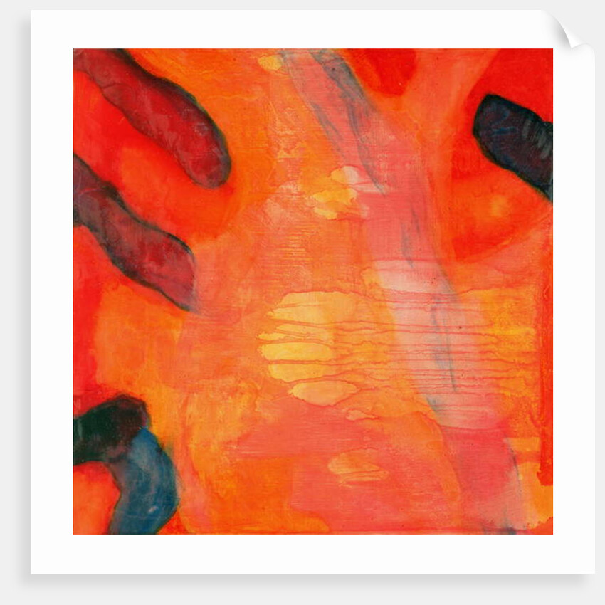 Clown Fish II, 1997 by Charlotte Johnstone
