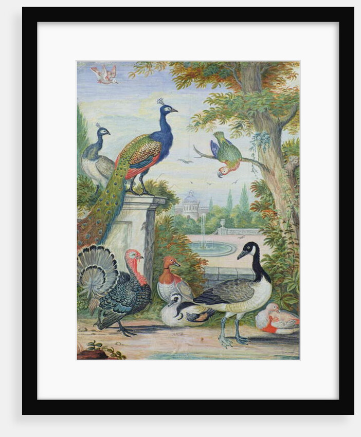 Exotic Birds and Domestic Fowl in a Picturesque Park, early 18th century by Jakob Bogdany