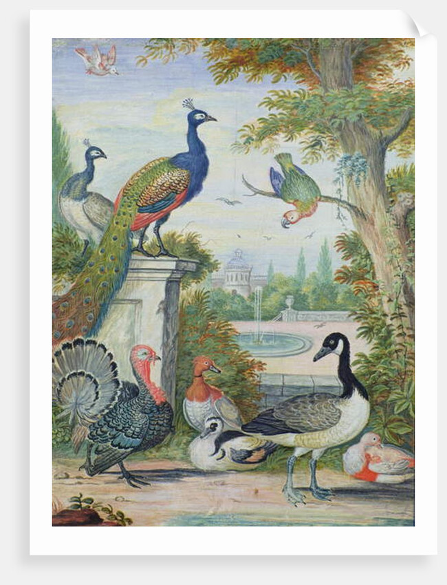 Exotic Birds and Domestic Fowl in a Picturesque Park, early 18th century by Jakob Bogdany