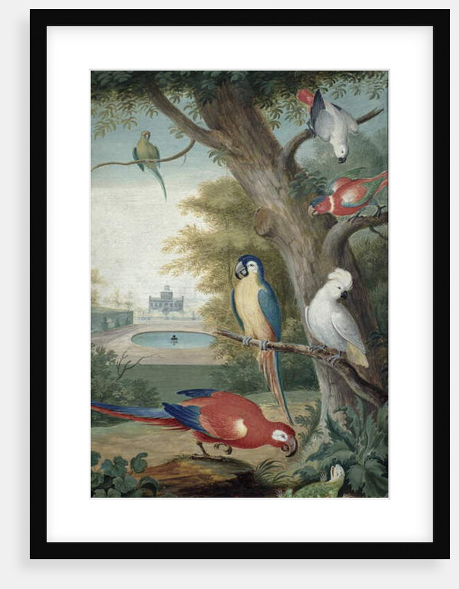 Parrots and a Lizard in a Picturesque Park, early 18th century by Jakob Bogdany