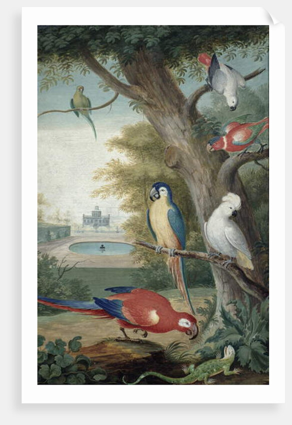 Parrots and a Lizard in a Picturesque Park, early 18th century by Jakob Bogdany