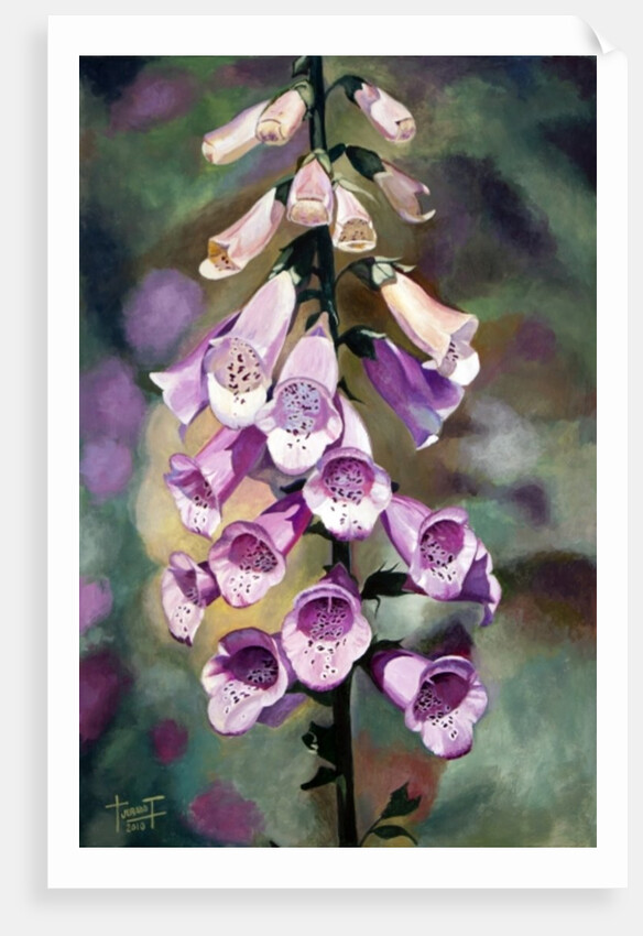 Purple Fingers, 2010 by Cruz Jurado Traverso