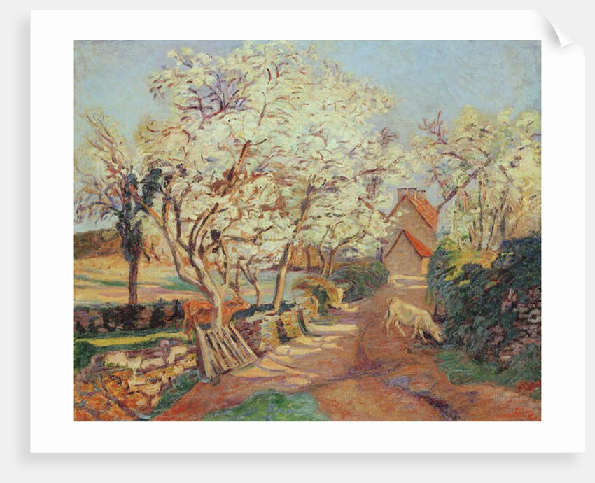 Plum Trees in Blossom by Jean Baptiste Armand Guillaumin