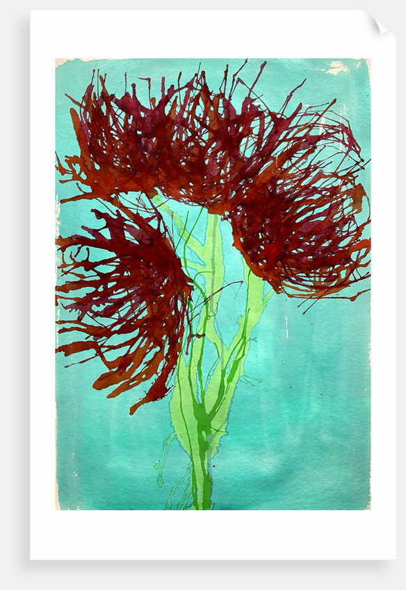 Red wildflowers, 2021 by Courtenay Kusitor