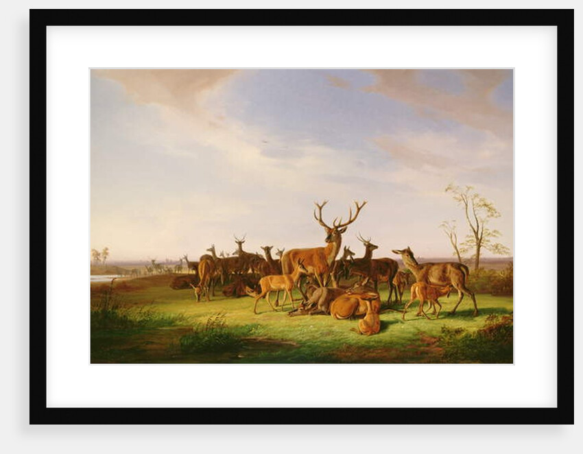 A Herd of Deer in a Sunlit Pasture by Theodor Julius Kiellerup