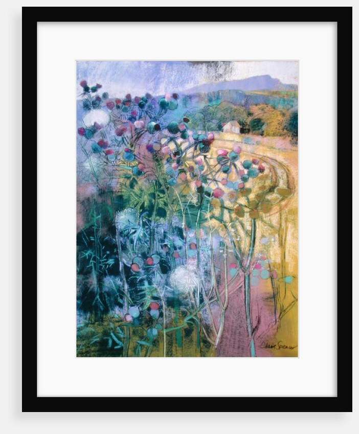 The Wild Beauty of Clee by Claire Spencer