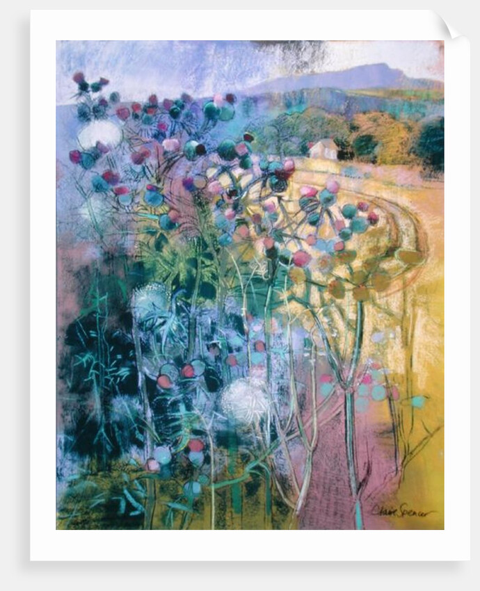 The Wild Beauty of Clee by Claire Spencer