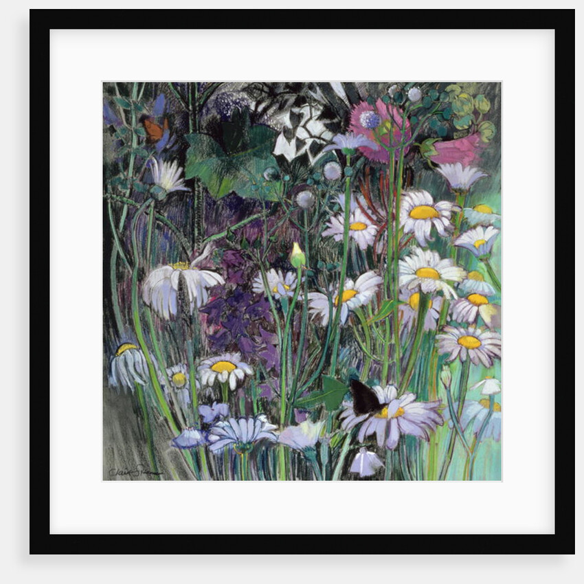 The White Garden by Claire Spencer