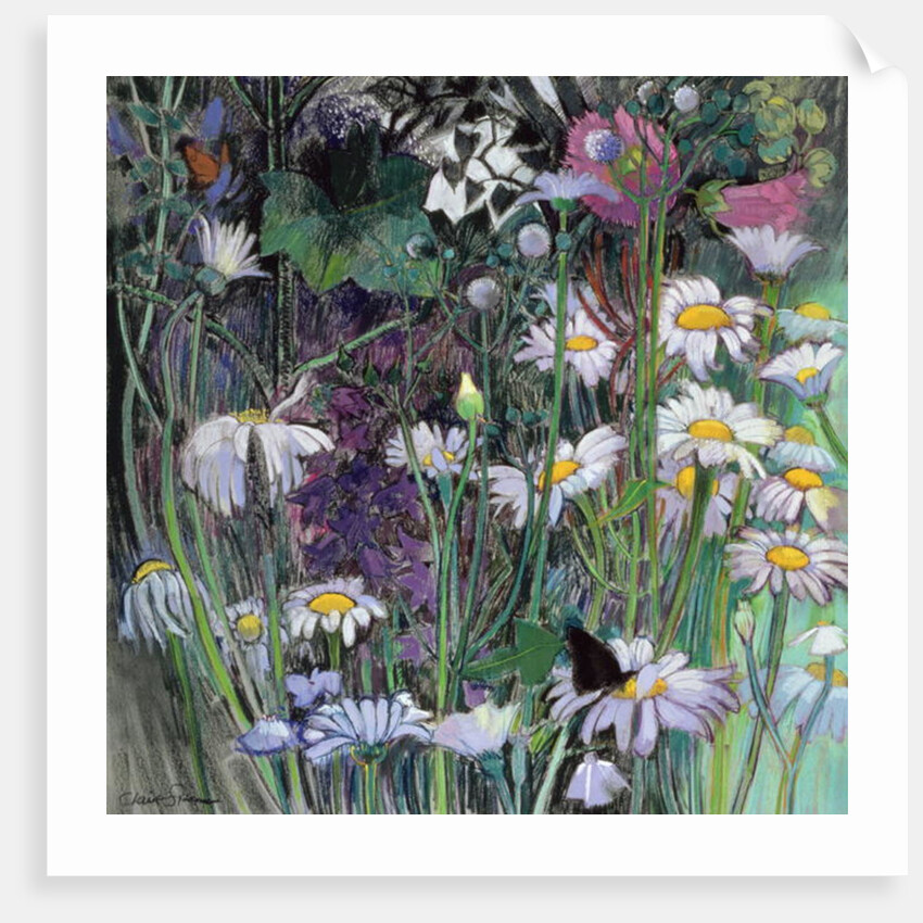 The White Garden by Claire Spencer