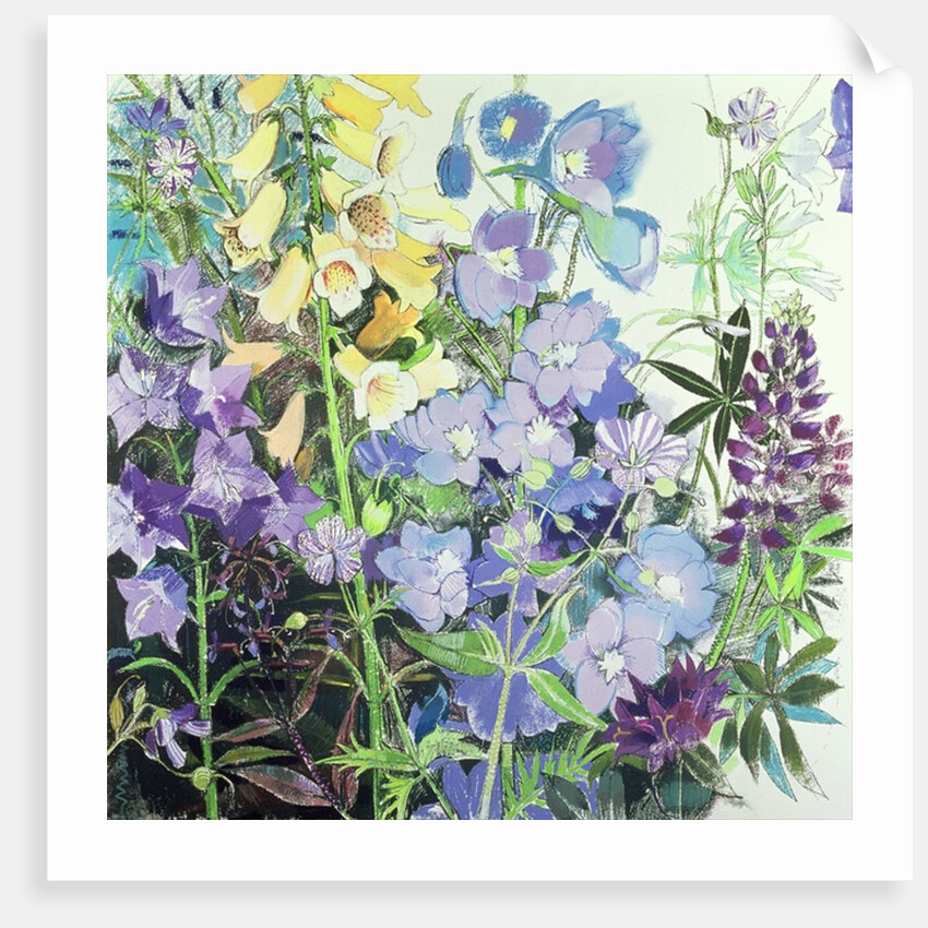 Delphiniums and Foxgloves by Claire Spencer