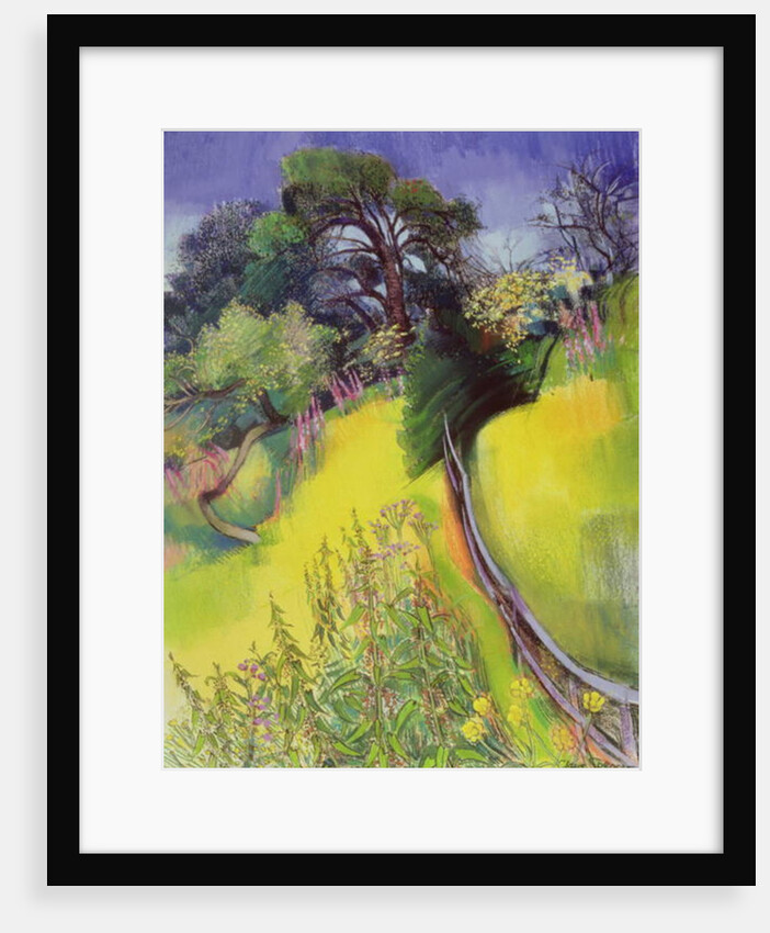 Midsummer by Claire Spencer