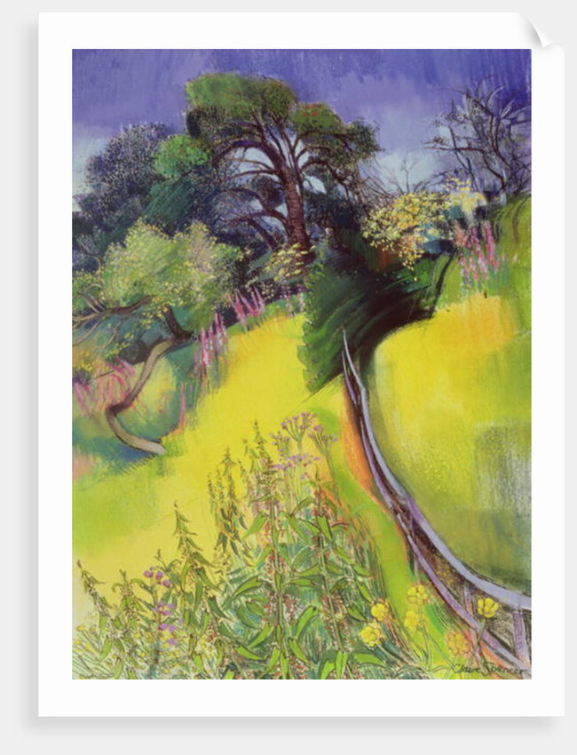 Midsummer by Claire Spencer