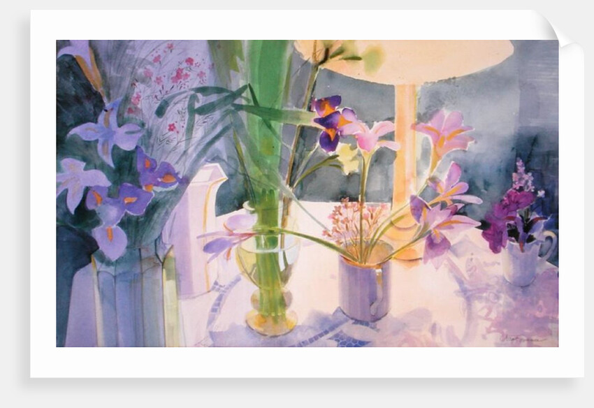 Winter Iris by Claire Spencer