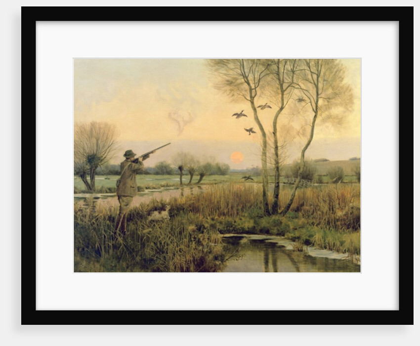 Duck Shooting by Christopher William Strange