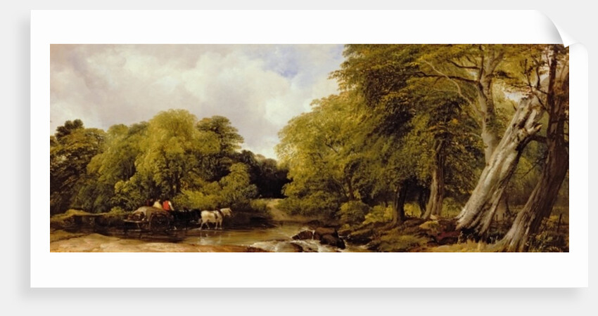 A woody river scene, 1850 by Frederick Richard Lee