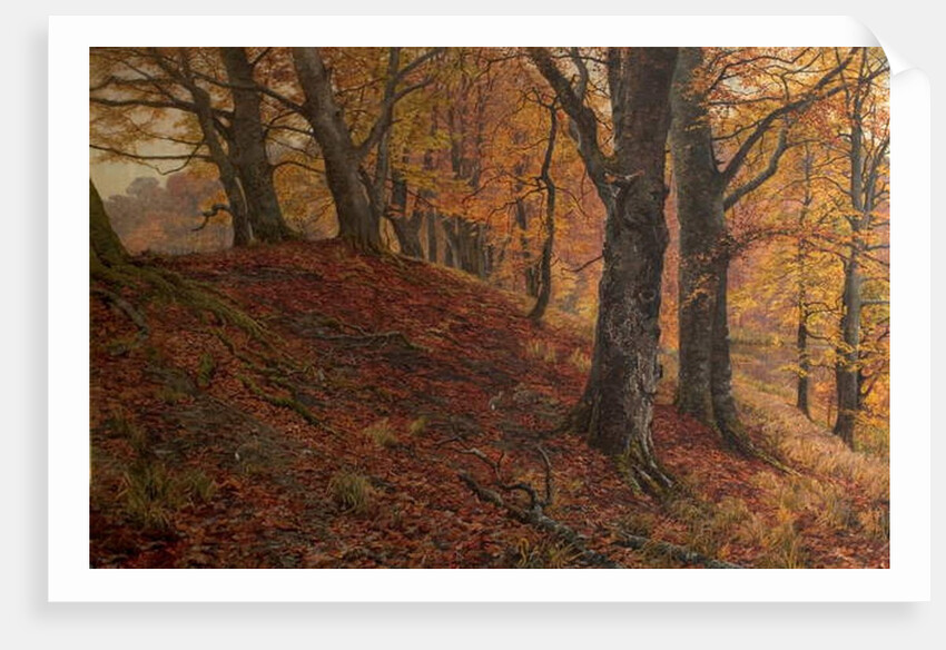 At the Fall of Leaf, Arundel Park, Sussex, 1883 by William Samuel Jay