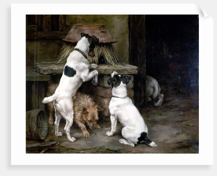 Busy Bodies and Busy Bees, 1892 by Lucy Ann Leavers