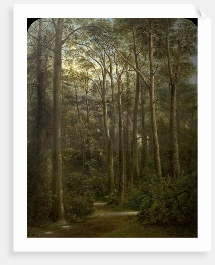 The Wilderness, 1857 by George Wallis