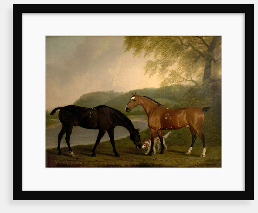 Horses and Dog in a Landscape, c.1830 by Clifton Tomson